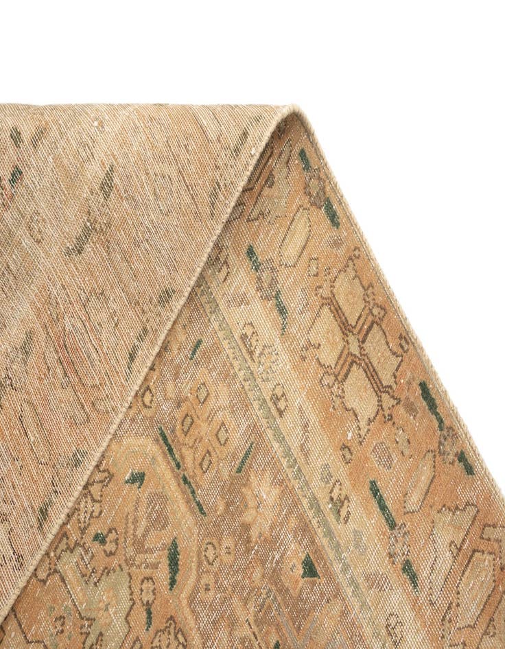 Detail image of 5' 8 x 8' 11 Arak Wool Rug