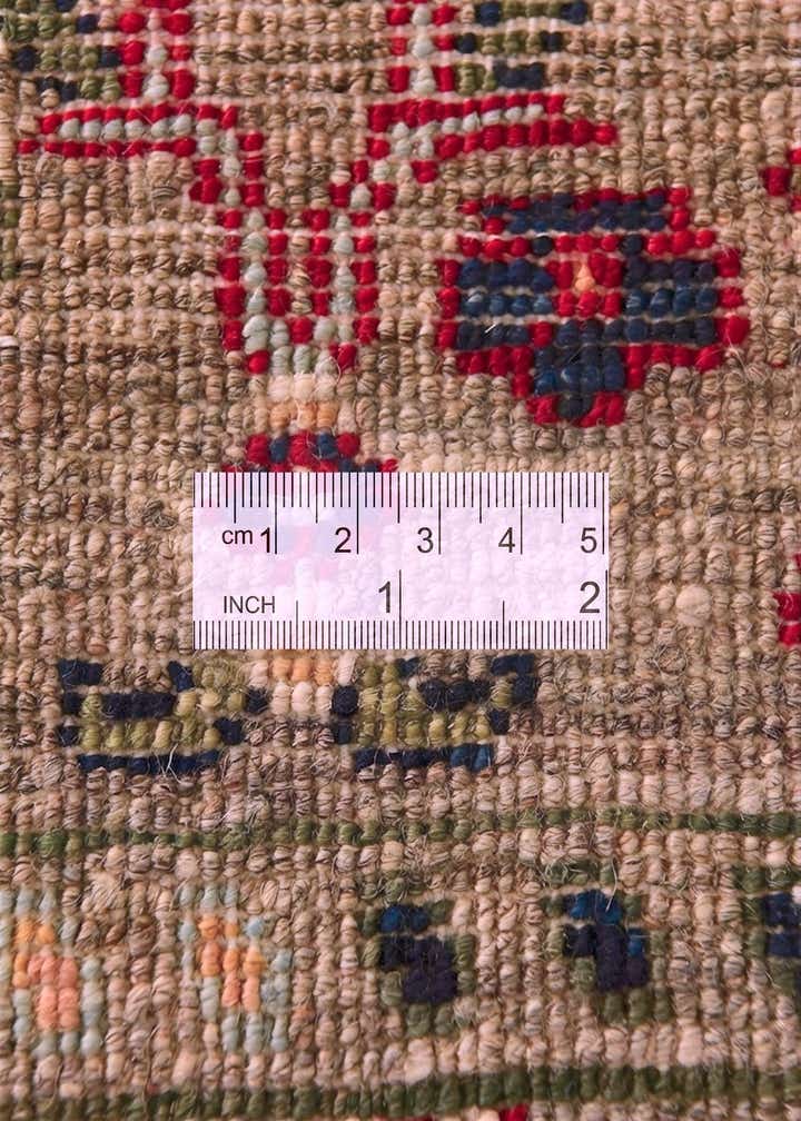 3' 4 x 5' 1 Hand Knotted Ariana Ziegler Rug