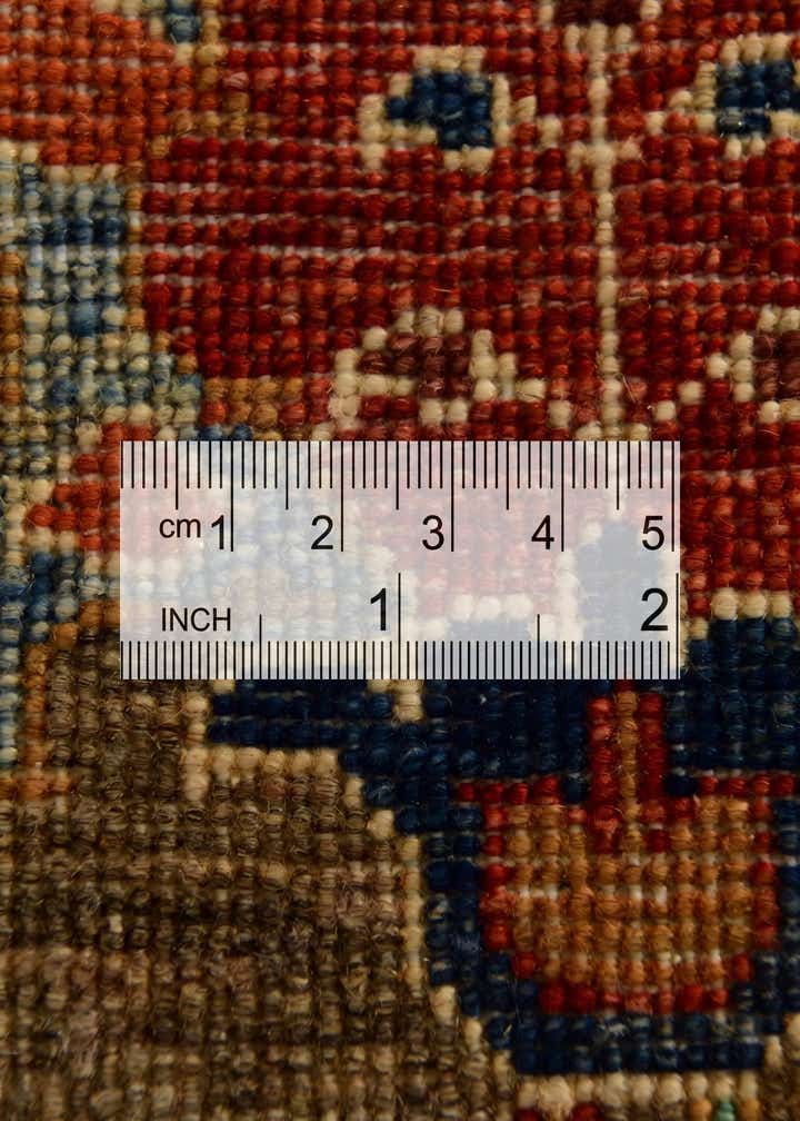3' 10 x 5' 10 Hand Knotted Ariana Ziegler Rug