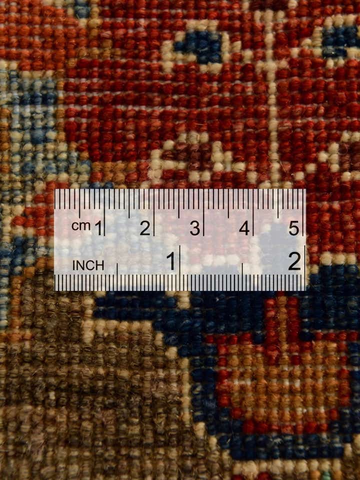 3' 10 x 5' 10 Hand Knotted Ariana Ziegler Rug