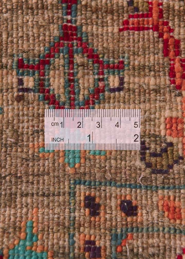 3' 1 x 4' 11 Hand Knotted Ariana Ziegler Rug