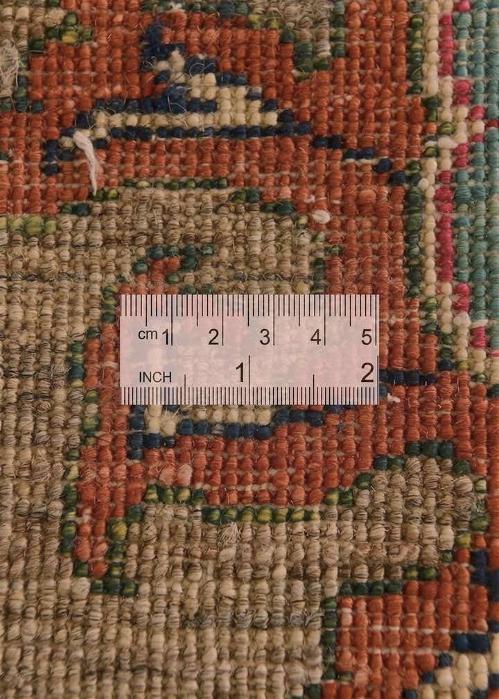 4' 1 x 6' 2 Hand Knotted Ariana Ziegler Rug