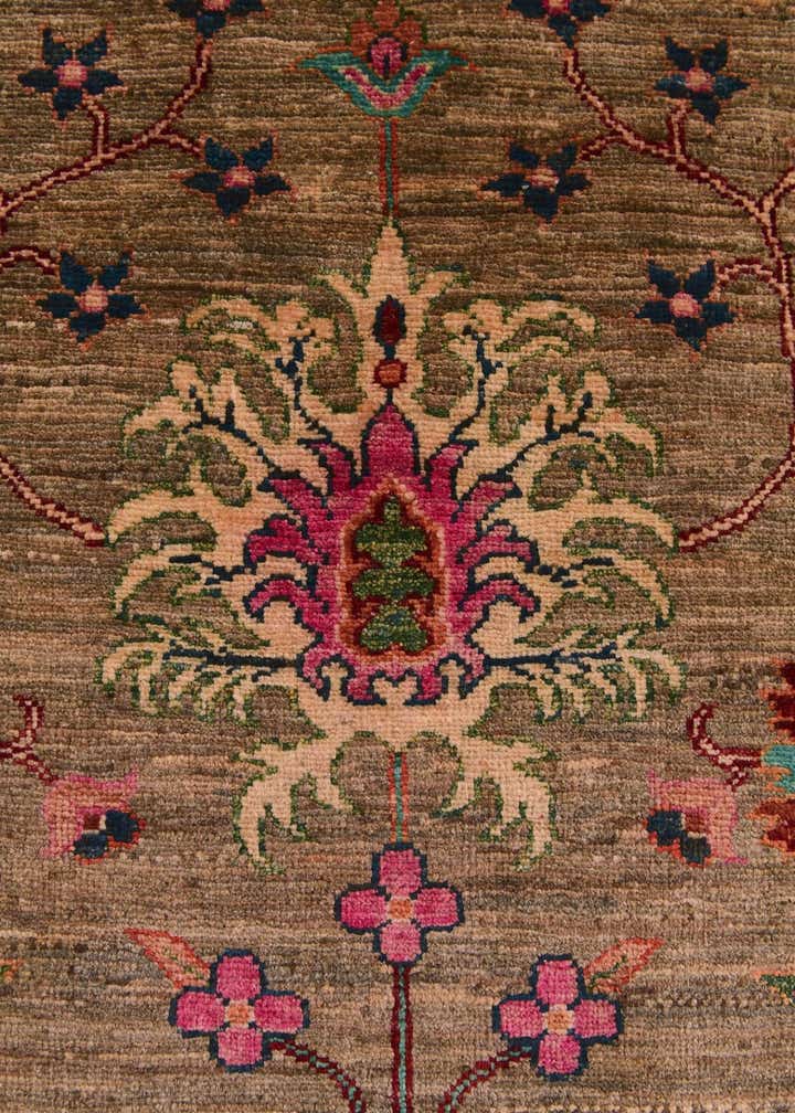 4' 1 x 6' 2 Hand Knotted Ariana Ziegler Rug