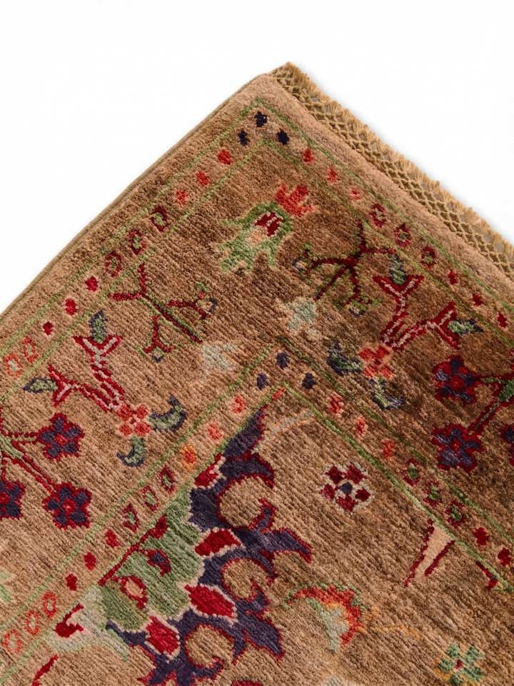 3' 3 x 4' 11 Hand Knotted Ariana Ziegler Rug
