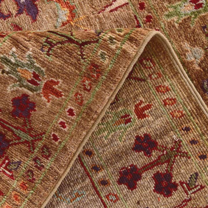 3' 3 x 4' 11 Hand Knotted Ariana Ziegler Rug