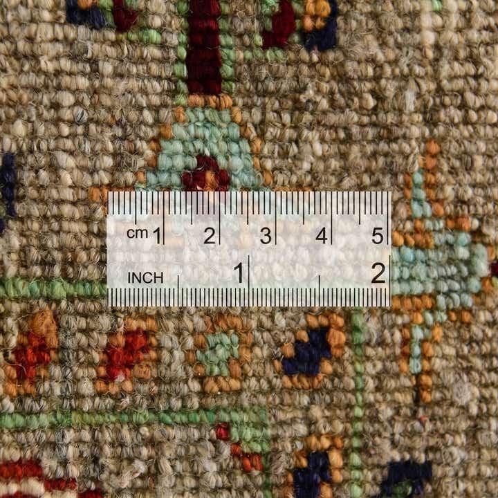 3' 3 x 4' 11 Hand Knotted Ariana Ziegler Rug