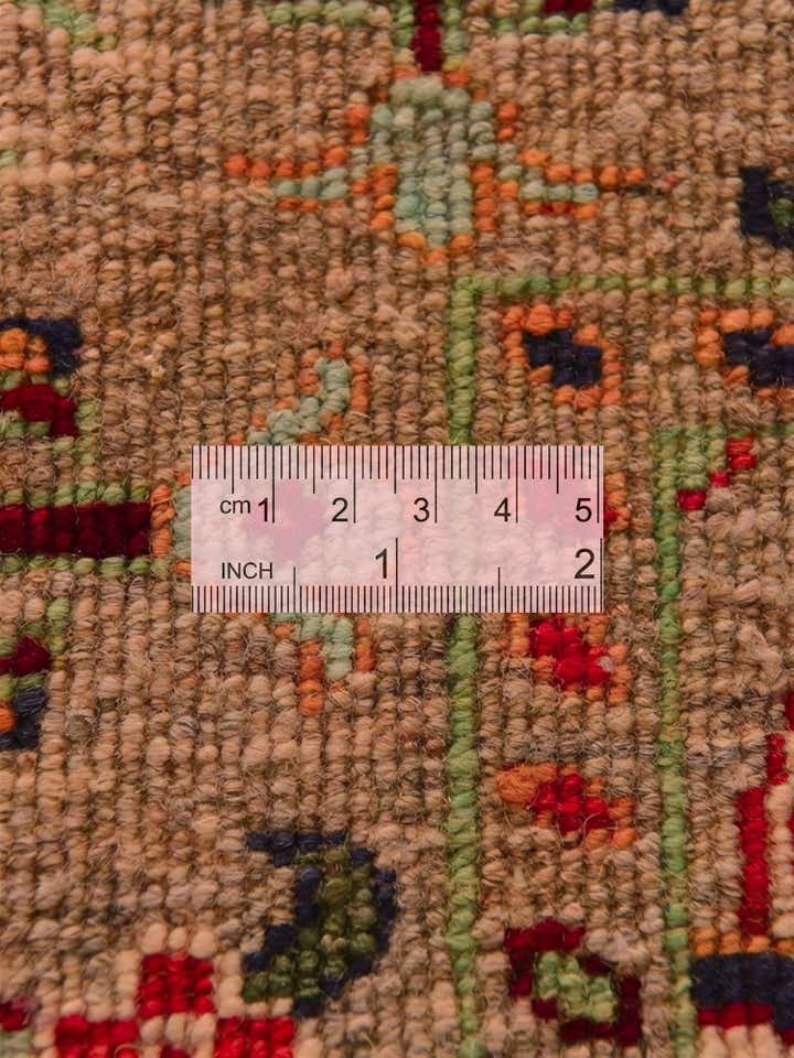 3' 3 x 4' 11 Hand Knotted Ariana Ziegler Rug