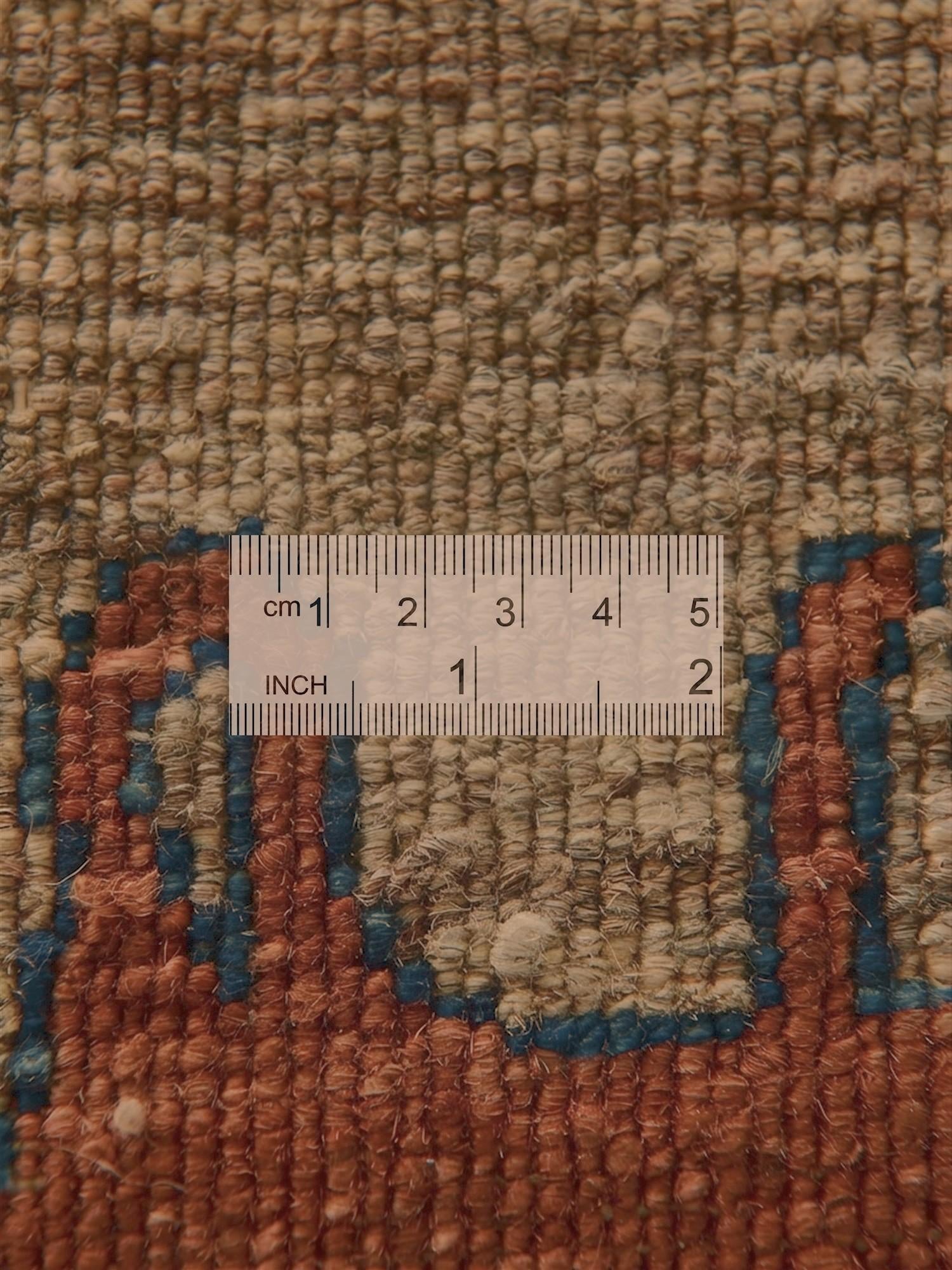 4' 3 x 5' 11 Hand Knotted Ariana Ziegler Rug