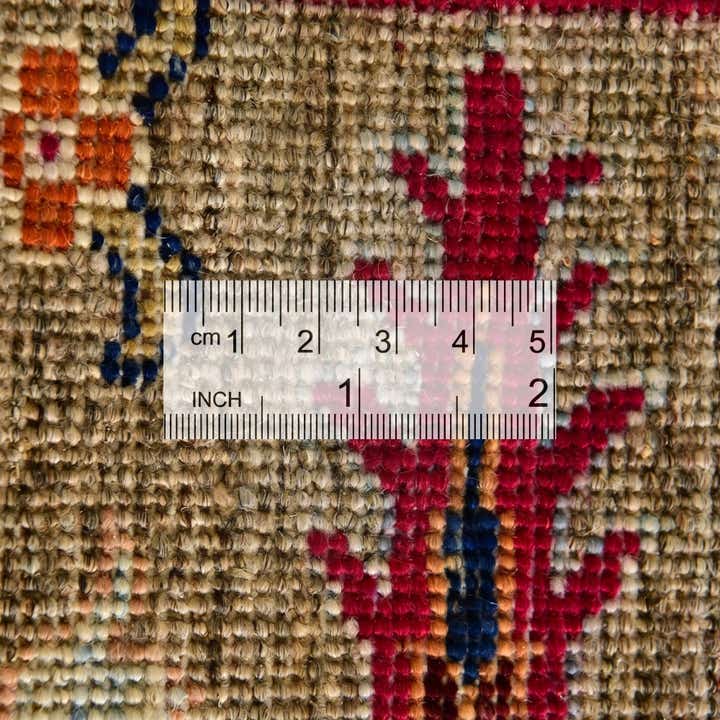 4' x 5' 11 Hand Knotted Ariana Ziegler Rug