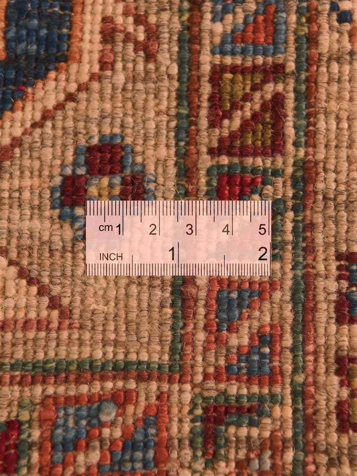 4' x 6' 5 Hand Knotted Ariana Ziegler Rug