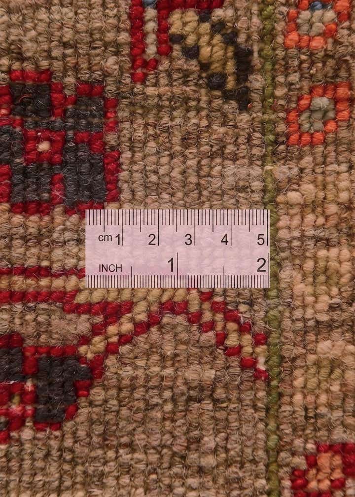 3' 6 x 5' Hand Knotted Ariana Ziegler Rug