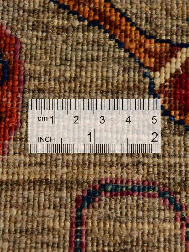 3' 11 x 6' 1 Hand Knotted Ariana Ziegler Rug