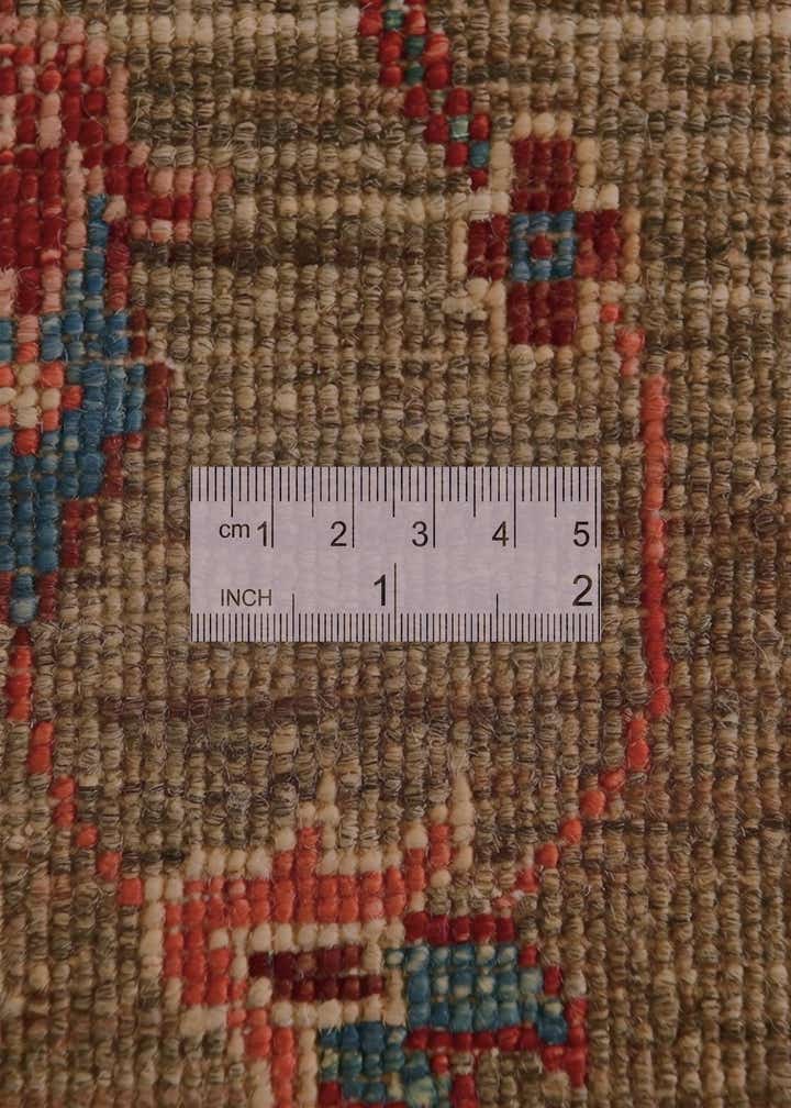 4' x 6' Hand Knotted Ariana Ziegler Rug