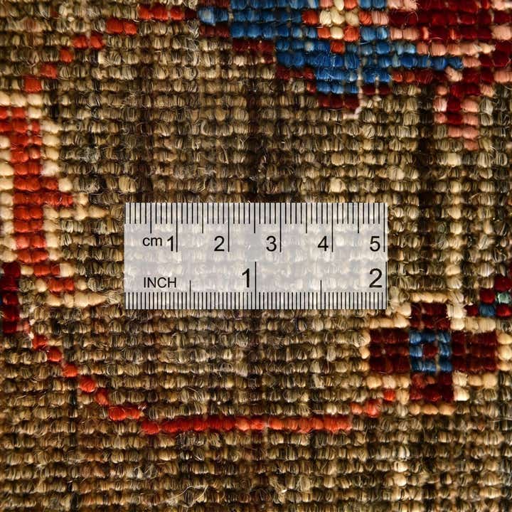 4' x 6' Hand Knotted Ariana Ziegler Rug
