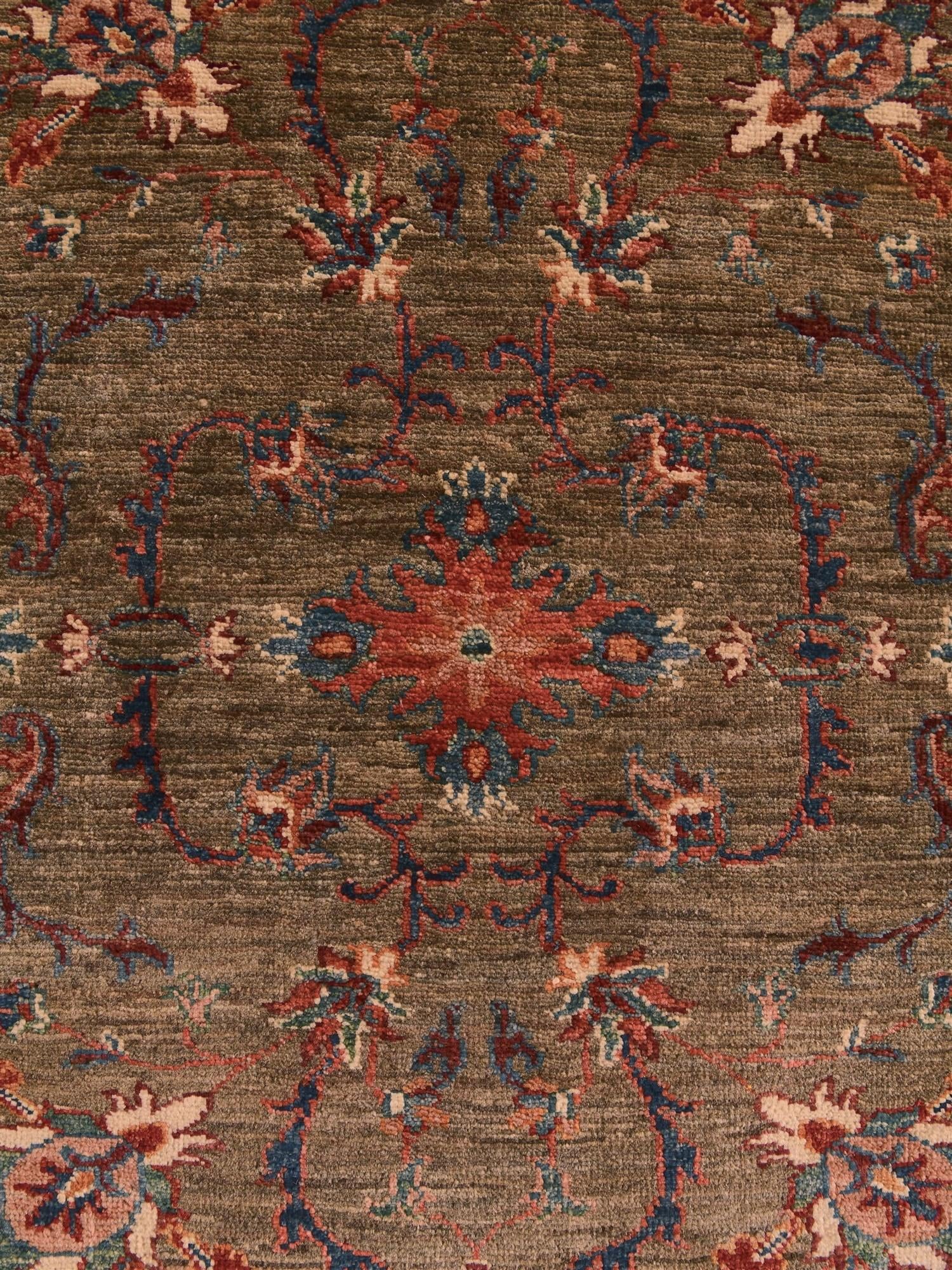 4' x 6' Hand Knotted Ariana Ziegler Rug
