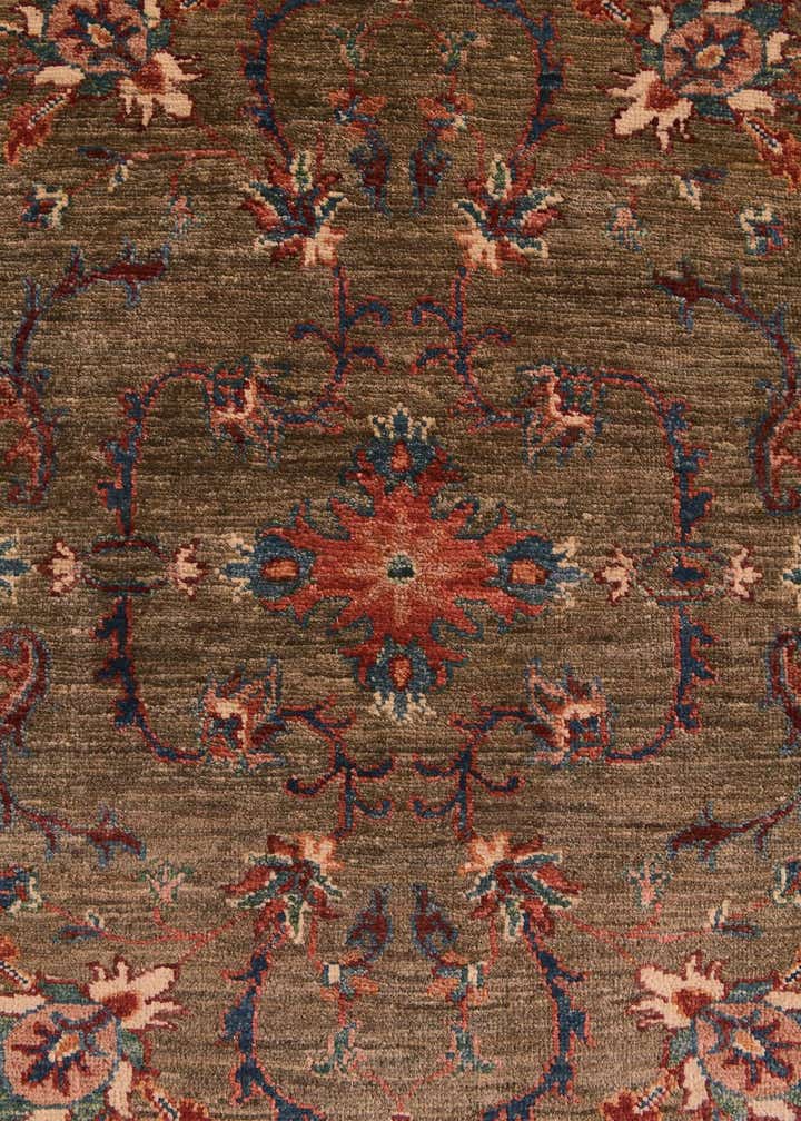 4' x 6' Hand Knotted Ariana Ziegler Rug