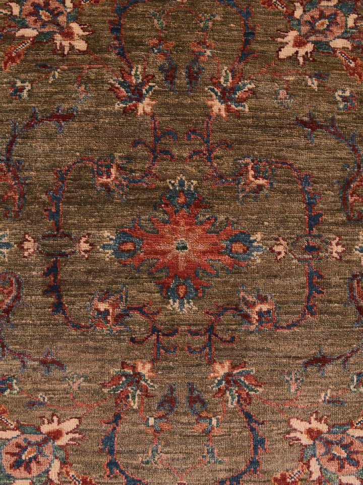 4' x 6' Hand Knotted Ariana Ziegler Rug