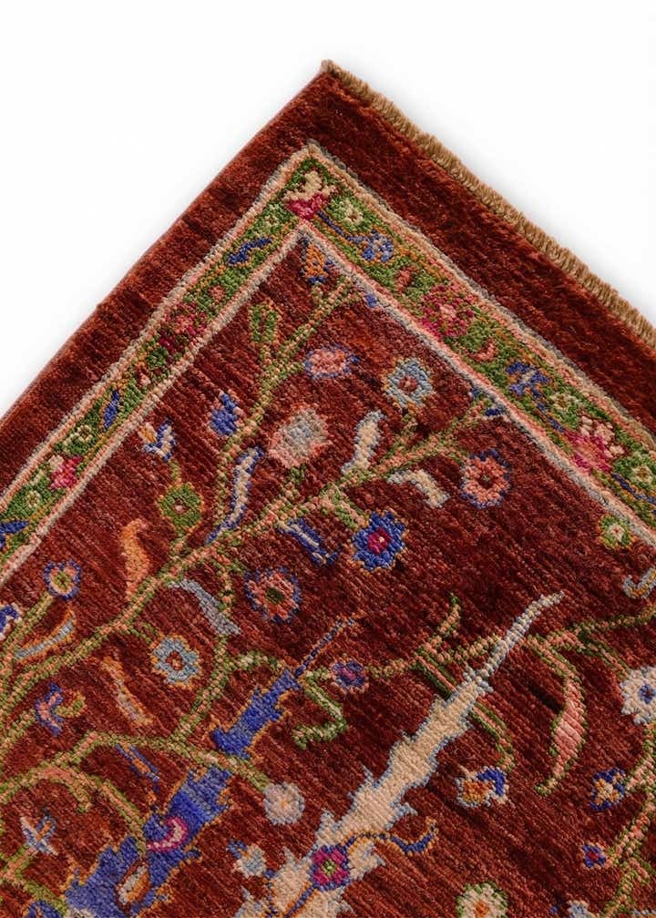 4' 1 x 6' 1 Hand Knotted Ariana Ziegler Rug