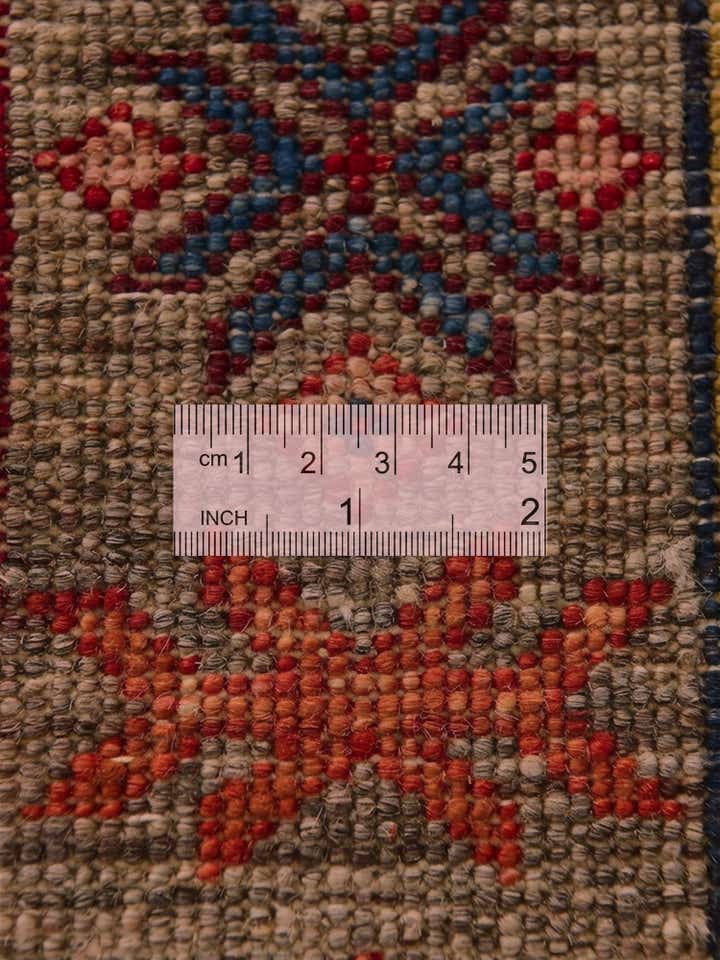 4' 2 x 6' 2 Hand Knotted Ariana Ziegler Rug