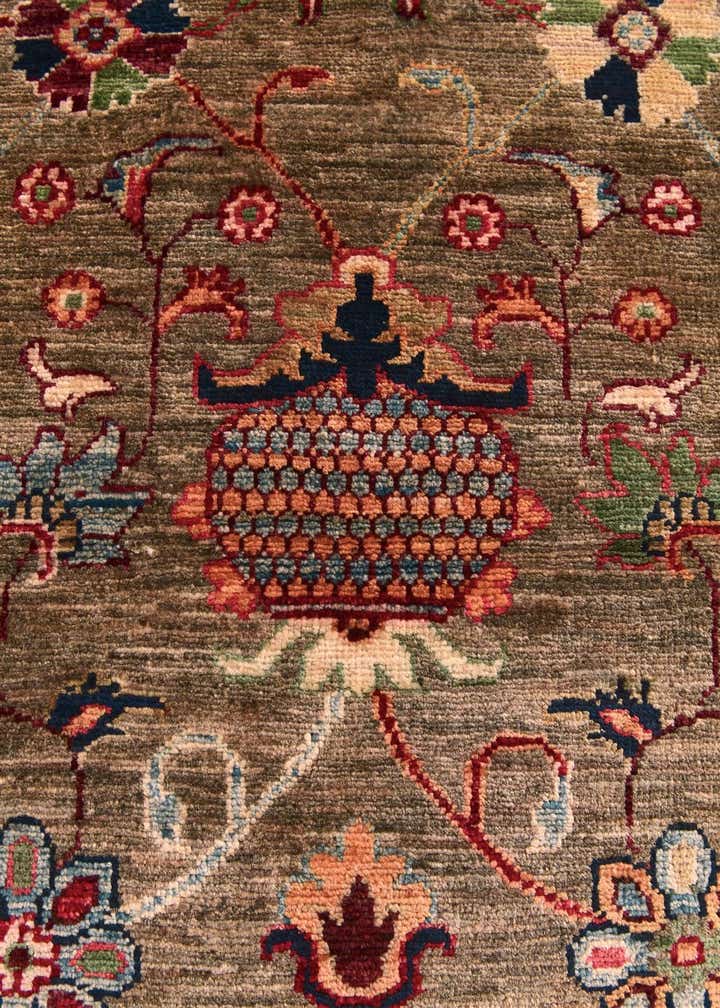3' 3 x 4' 11 Hand Knotted Ariana Ziegler Rug