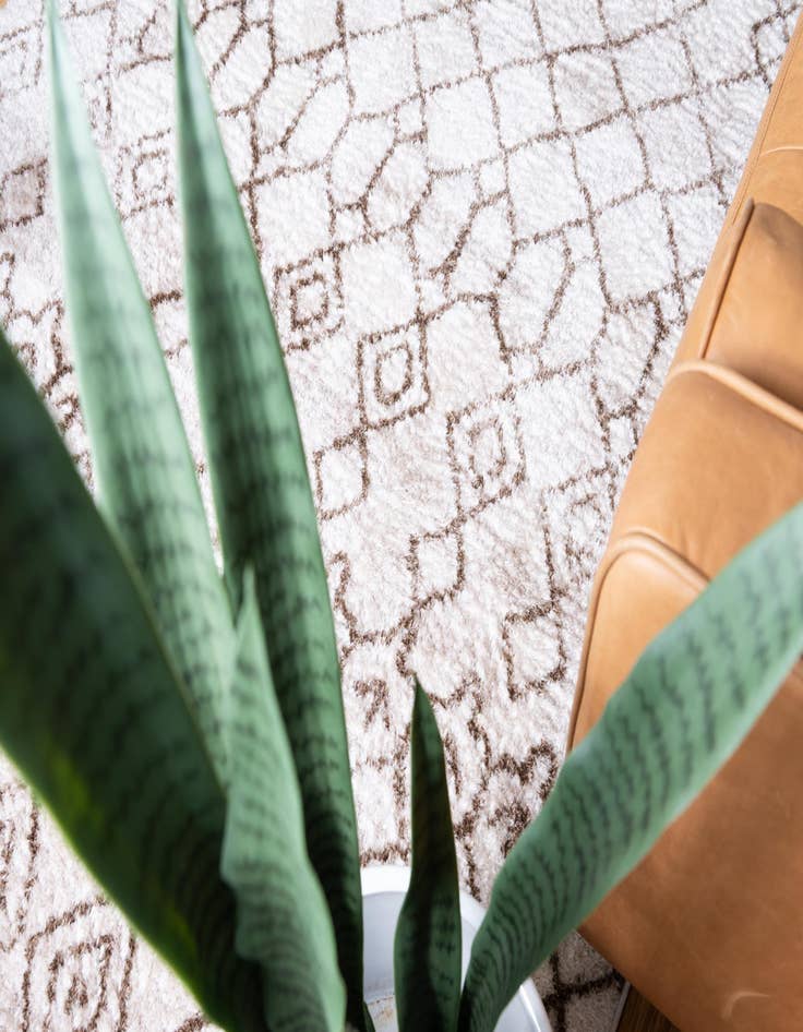 Detail image of 2' 4 x 3' 3 Artemis Rug