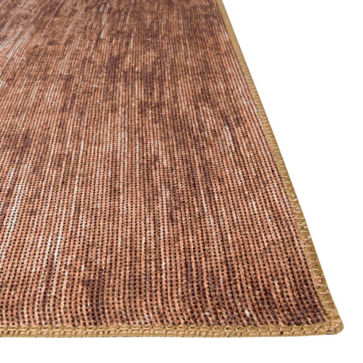 Detail image of 2' x 3' Asha Rug