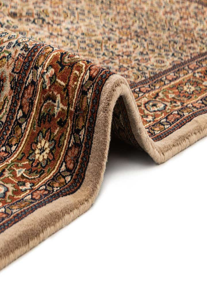 4' 9 x 6' 7 Bidjar Rug