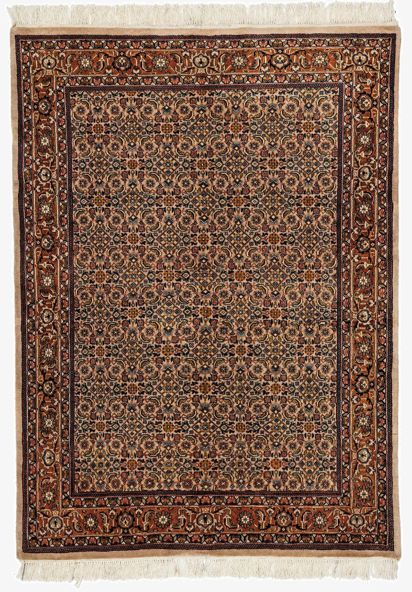 4' 9 x 6' 7 Bidjar Rug