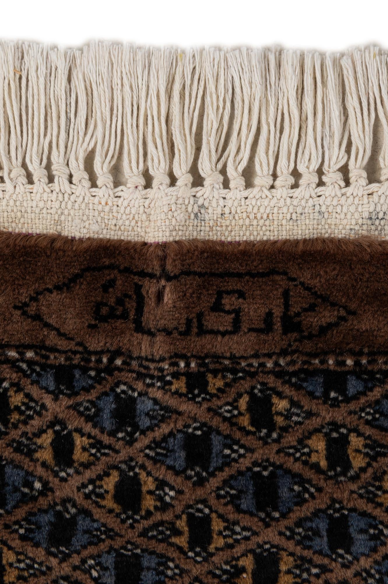 7' 4 x 10' 3 Hand Knotted Bokhara Oriental Wool Rug