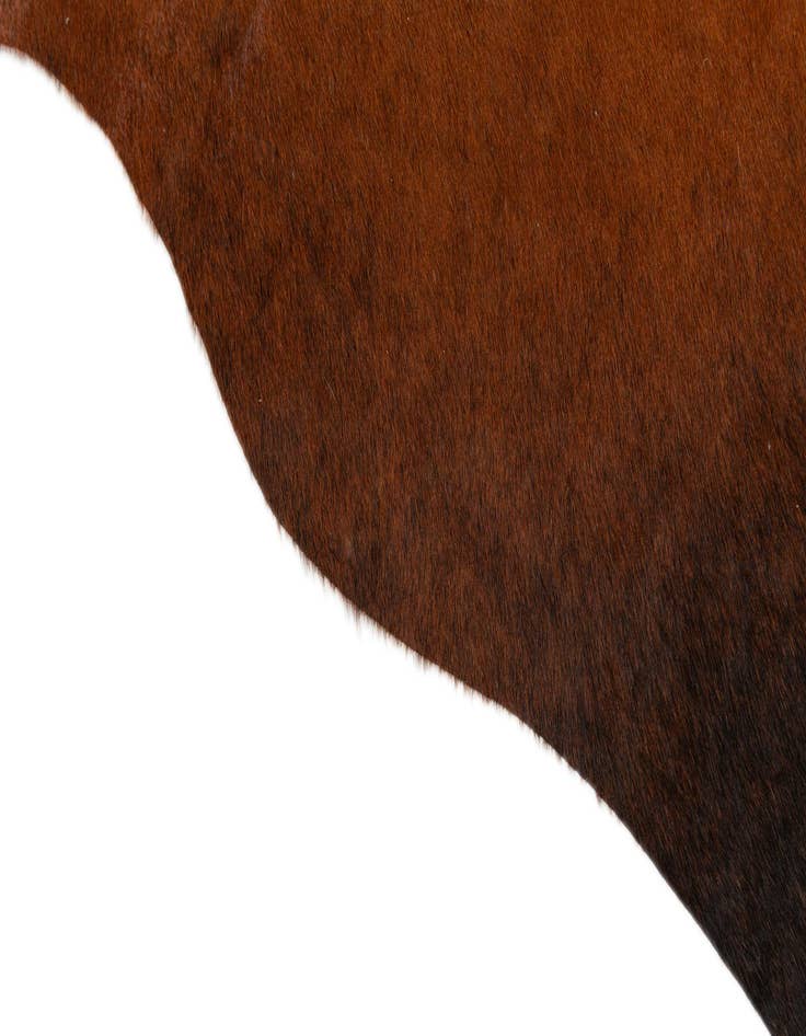 Detail image of 4' 1 x 5' 7 Cowhide Leather Rug