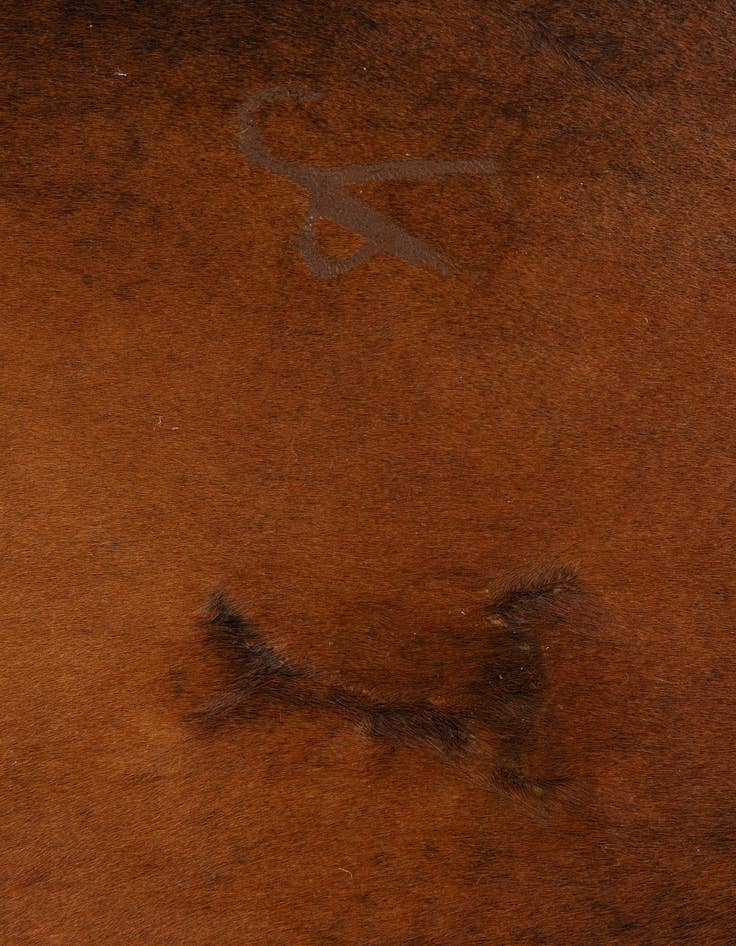 Detail image of 4' 1 x 5' 7 Cowhide Leather Rug