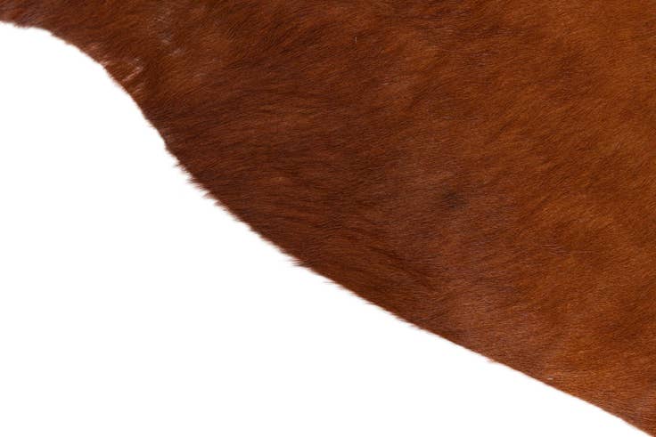 Detail image of 5' 1 x 5' 8 Cowhide Leather Rug