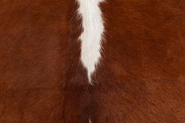 5' 1 x 5' 8 Cowhide Leather Rug
