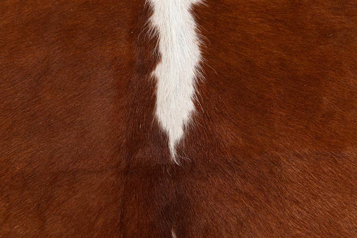 Detail image of 5' 1 x 5' 8 Cowhide Leather Rug