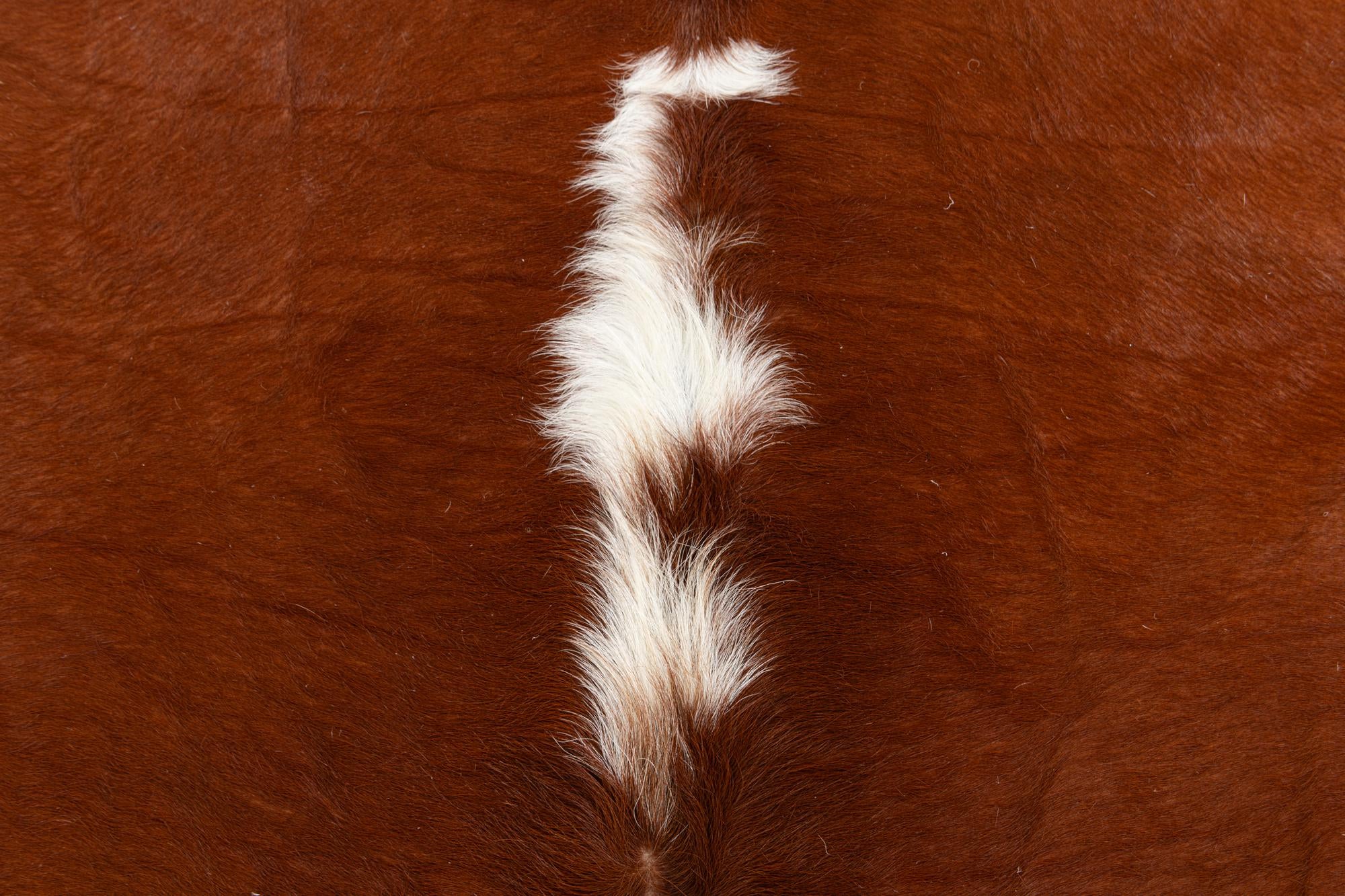 4' 4 x 4' 6 Cowhide Leather Rug