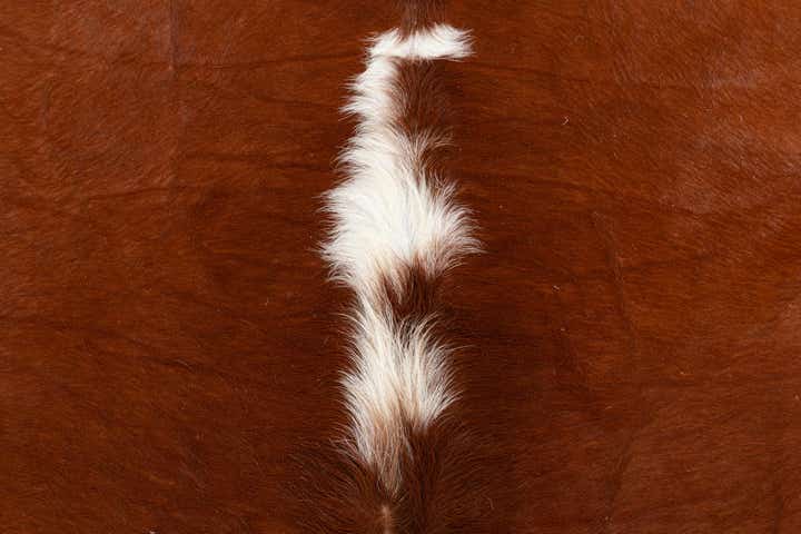 4' 4 x 4' 6 Cowhide Leather Rug
