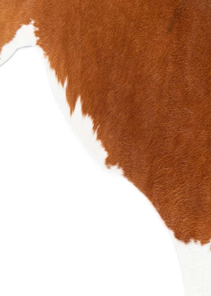 5' 1 x 6' 2 Cowhide Leather Rug