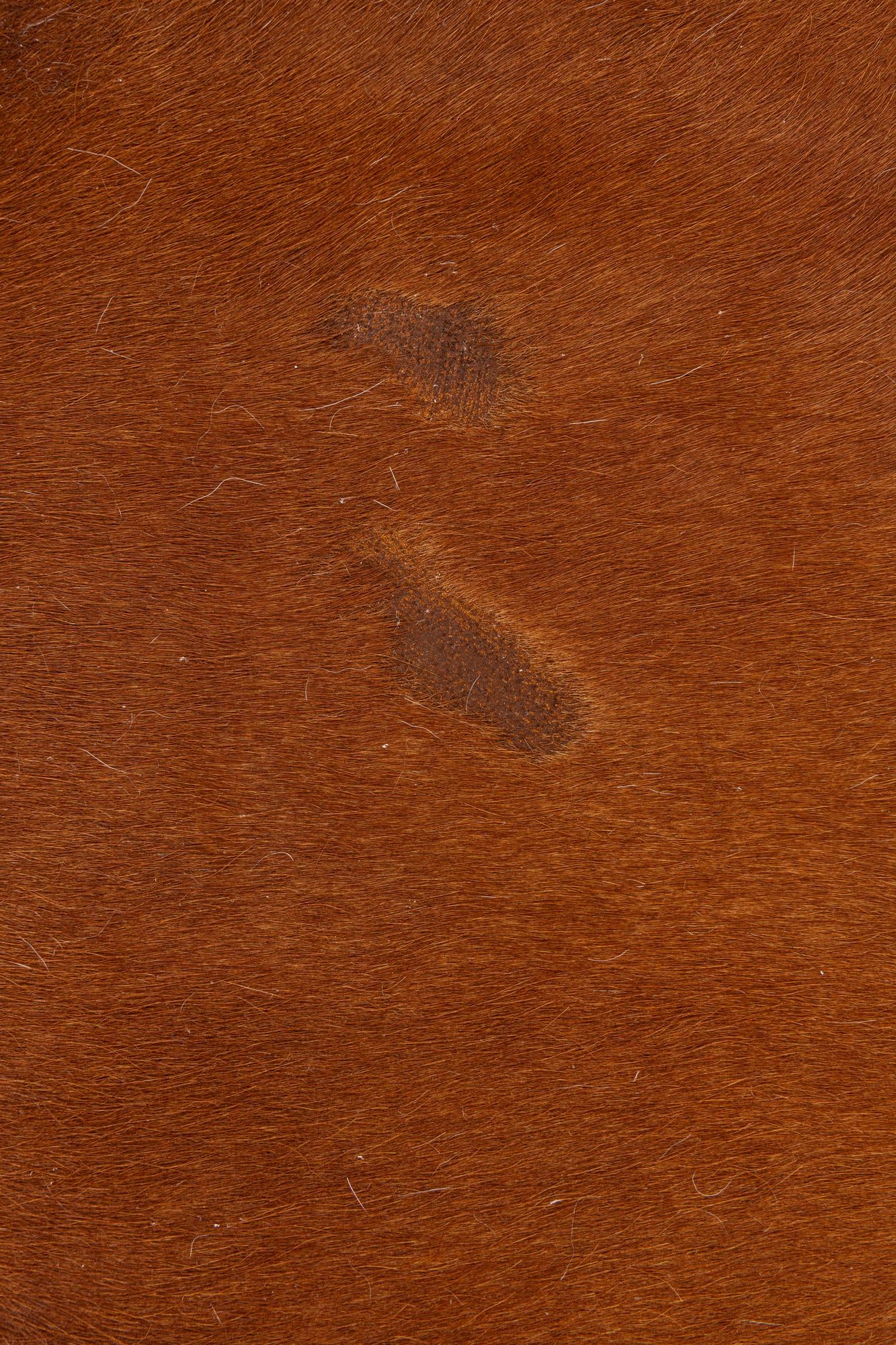 5' 1 x 6' 2 Cowhide Leather Rug