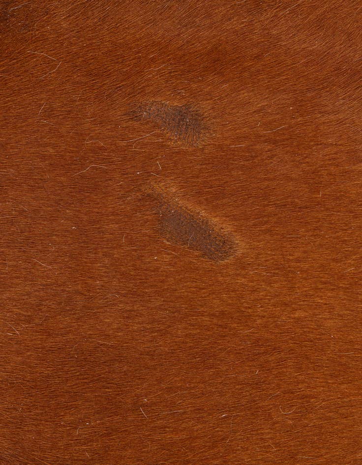Detail image of 5' 1 x 6' 2 Cowhide Leather Rug