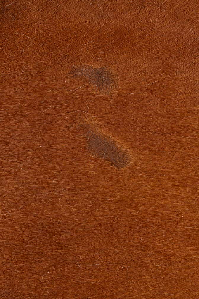 5' 1 x 6' 2 Cowhide Leather Rug