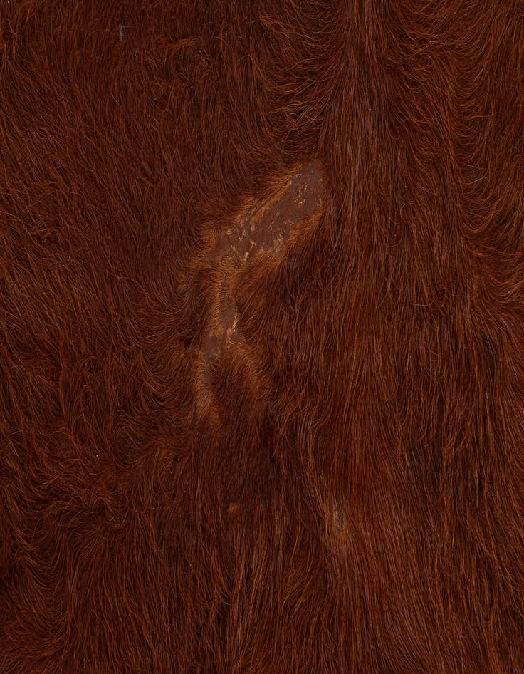 Detail image of 4' 11 x 5' 7 Cowhide Leather Rug