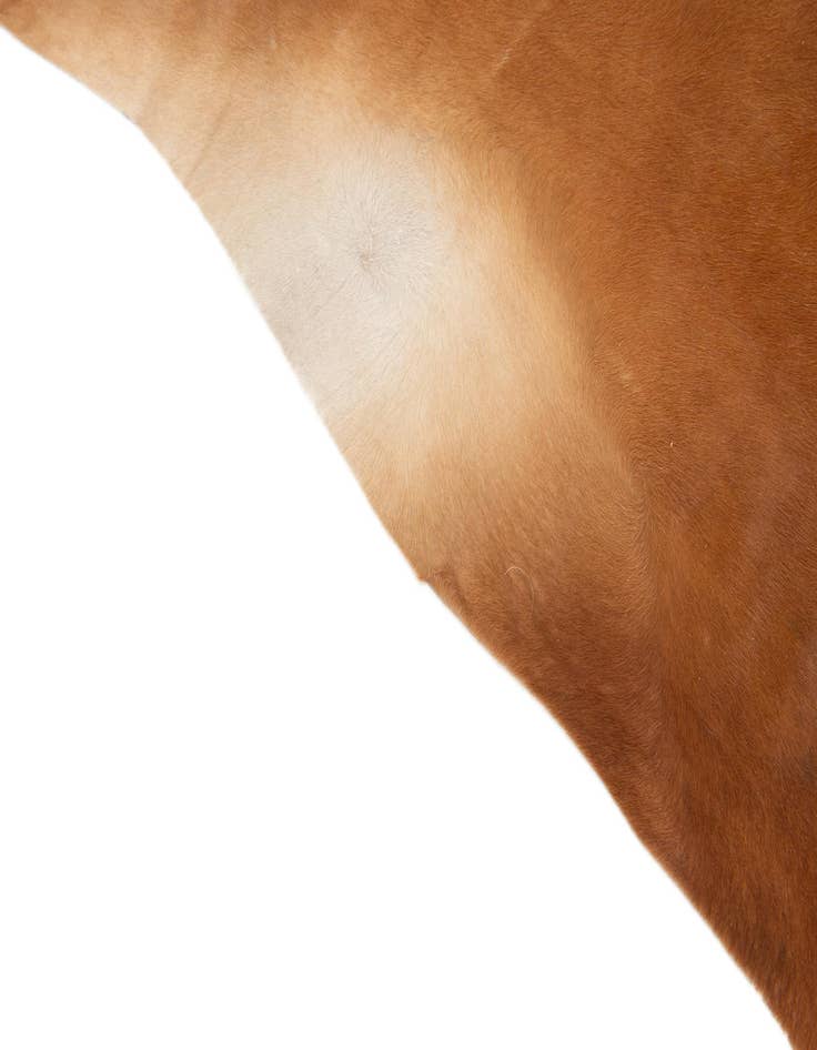 Detail image of 6' 1 x 6' 9 Cowhide Leather Rug