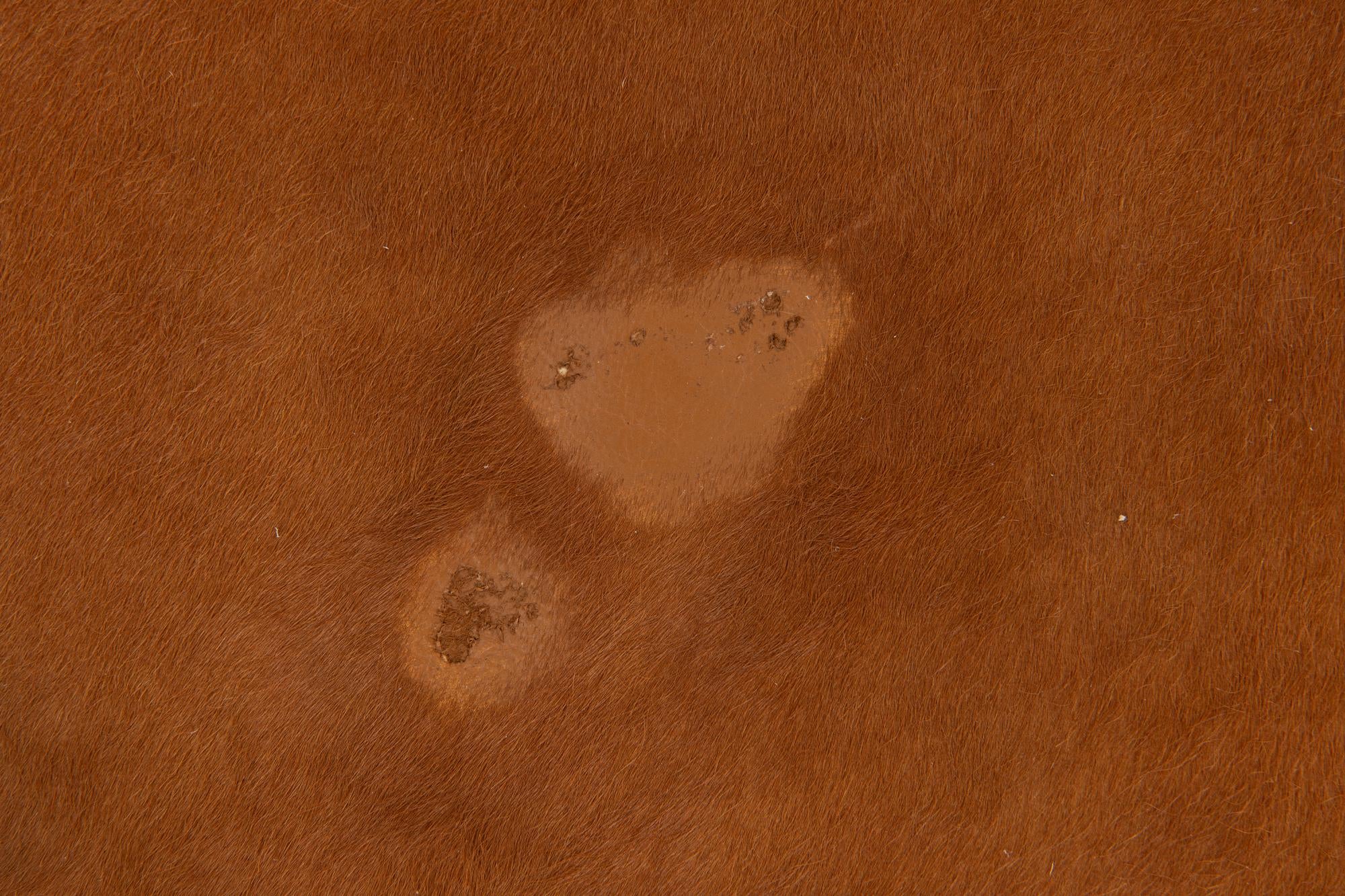 185cm x 205cm Cowhide Leather Rug