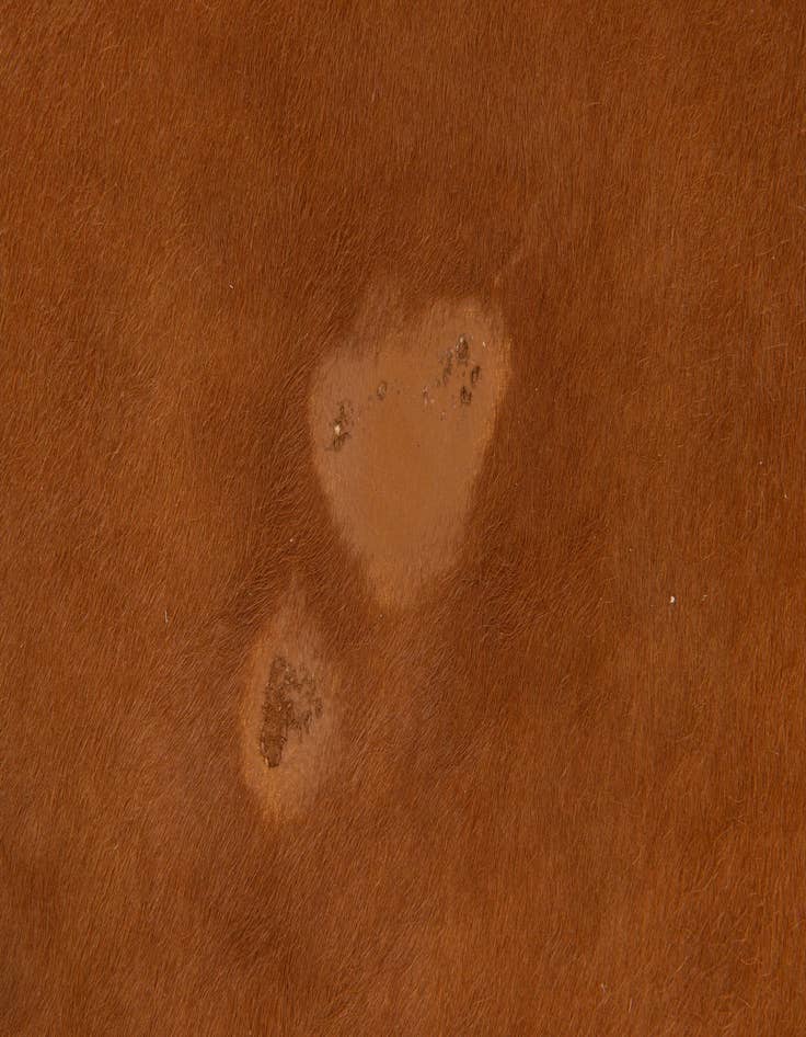 Detail image of 6' 1 x 6' 9 Cowhide Leather Rug