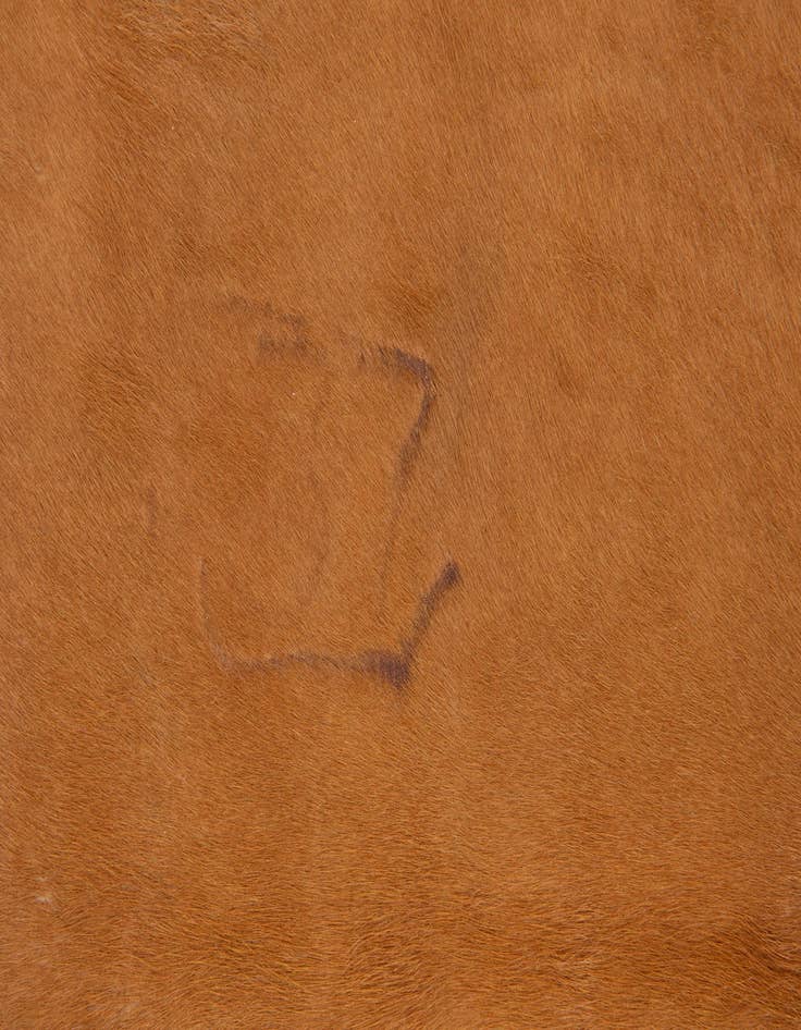 Detail image of 5' 5 x 6' 5 Cowhide Leather Rug