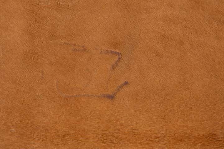 5' 5 x 6' 5 Cowhide Leather Rug