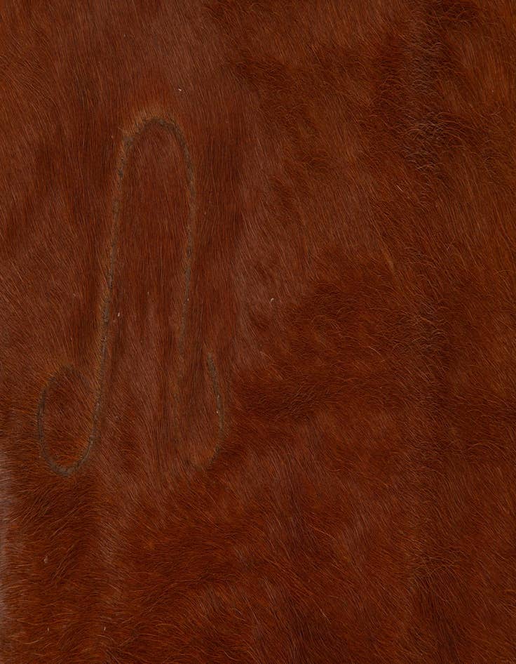 Detail image of 5' 6 x 6' 11 Cowhide Leather Rug