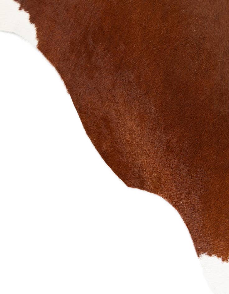 Detail image of 4' 10 x 6' 2 Cowhide Leather Rug