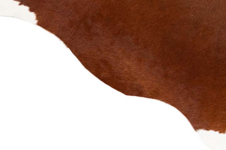 4' 10 x 6' 2 Cowhide Leather Rug