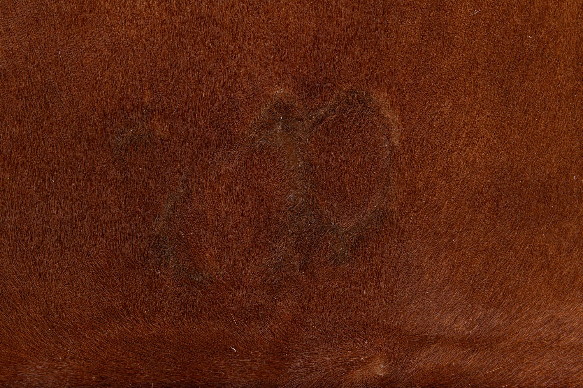 4' 10 x 6' 2 Cowhide Leather Rug